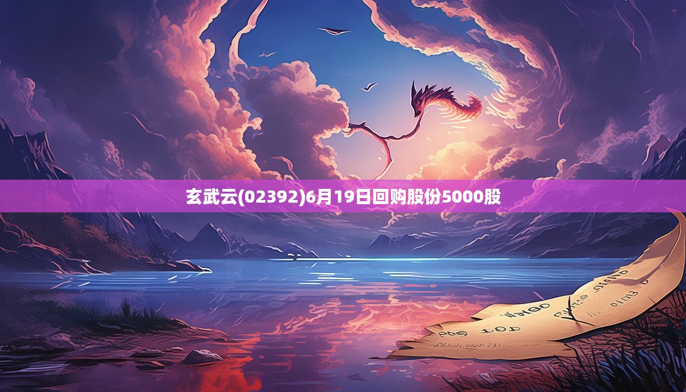 玄武云(02392)6月19日回购股份5000股